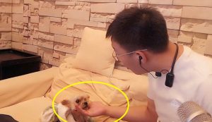 小白龙和YY官方闹翻脸怒干小洲！小洲还我钱！-第1张