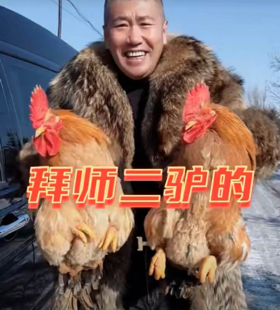 赵本六拜师二驴的!赵本六生吃活鸡视频-第1张