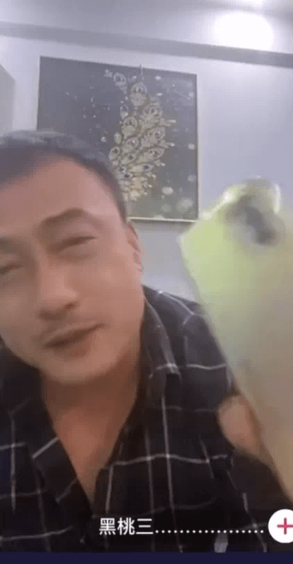 消费者被骗大骂辛巴 粉丝爆辛巴手机有问题-第1张