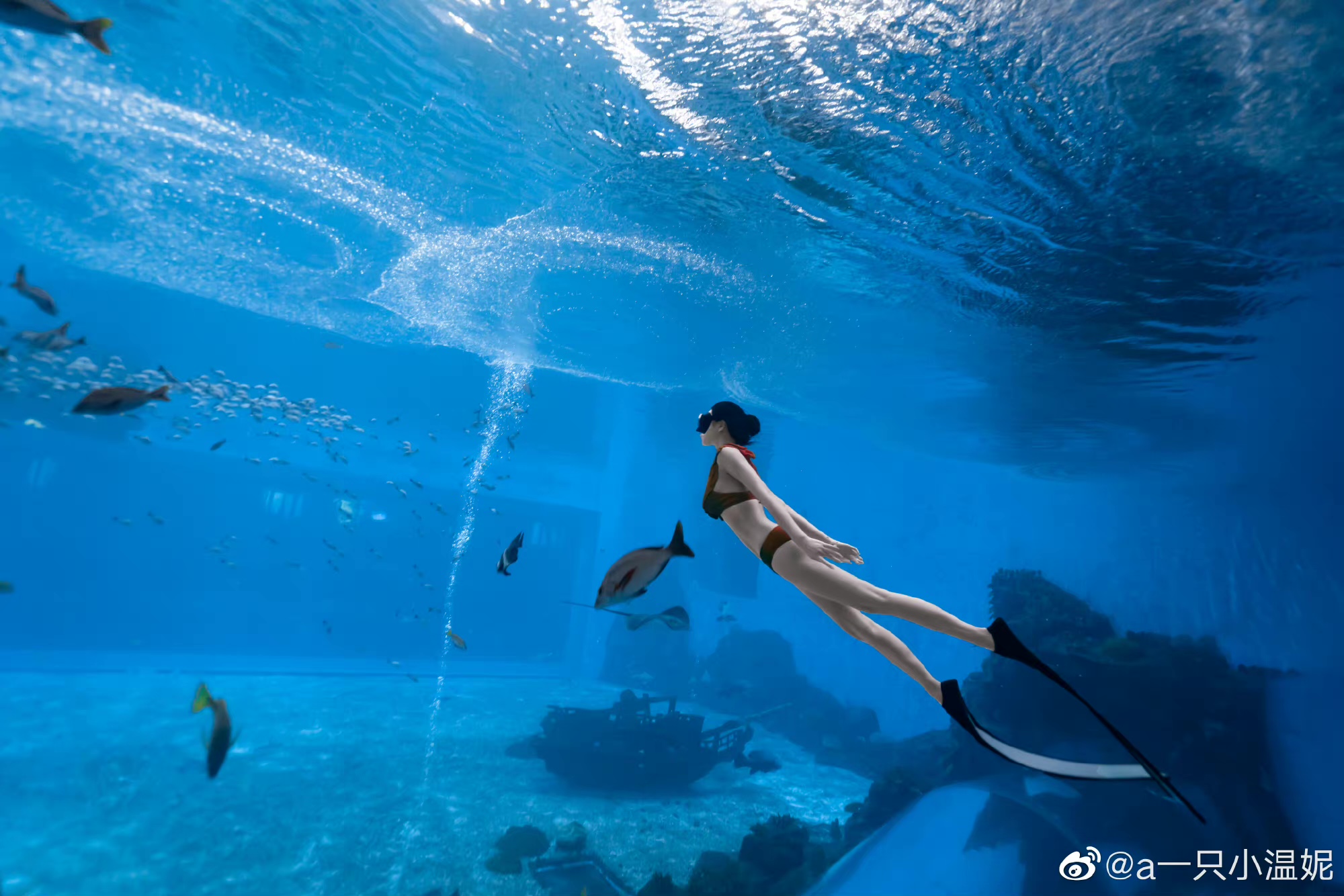 dz小温妮小姐姐水下写真照片 小温妮福利照片-第1张