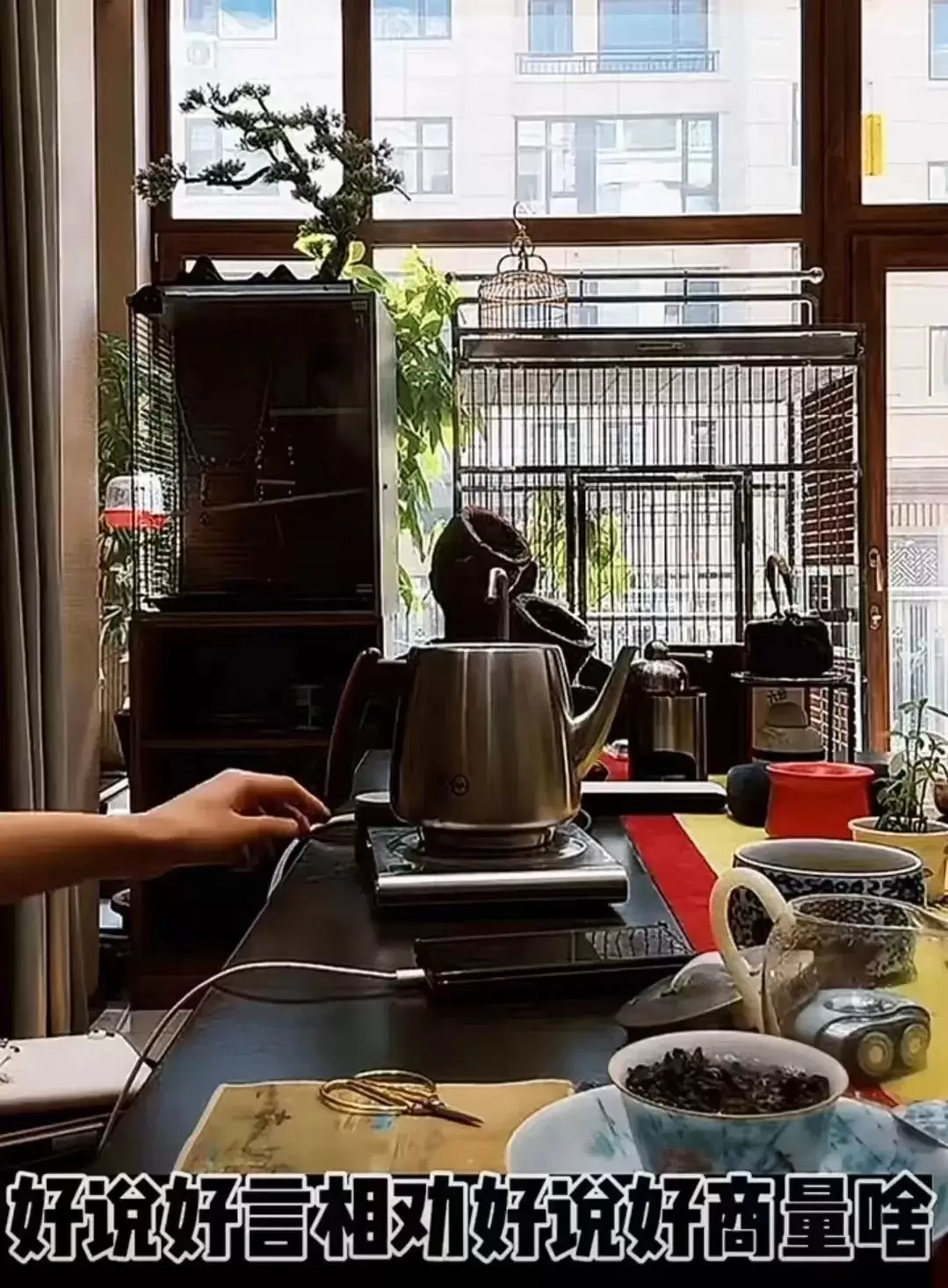 夏玲美续YY小莫莫欠钱天佑吐槽DZ电母-第1张